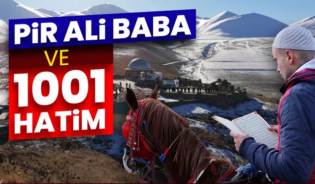 Pir Ali Baba ve 1001 Hatim