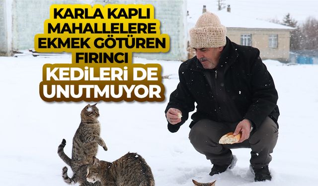 Karla kaplı mahallelere ekmek götüren fırıncı kedileri de unutmuyor