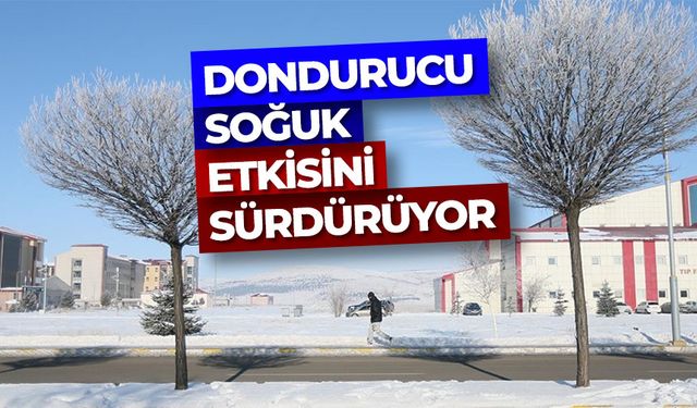 Erzurum, Kars, Ağrı, Ardahan ve Tunceli'de dondurucu soğuk etkisini sürdürüyor