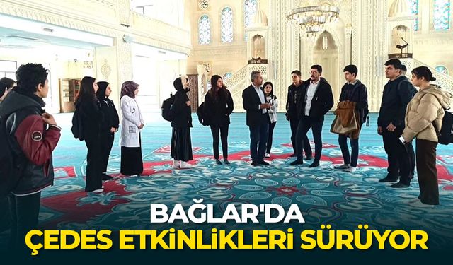 Bağlar'da Çedes etkinlikleri sürüyor