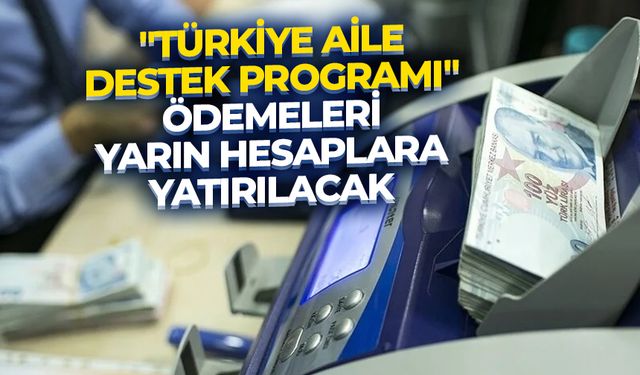 "Türkiye Aile Destek Programı" ödemeleri yarın hesaplara yatırılacak