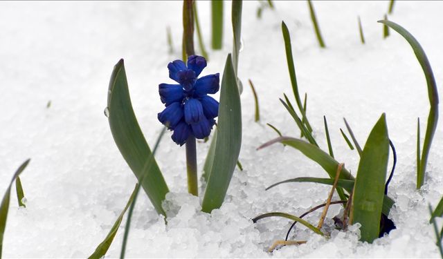 Kars'ta kar yağışı etkili oldu