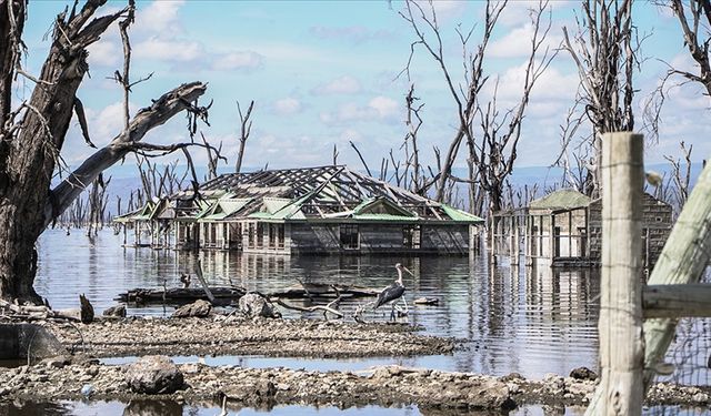 Kenya'daki sellerde ölü sayısı 228'e yükseldi