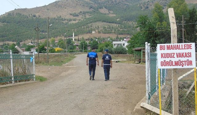 Gaziantep'te iki mahallede kuduz karantinası