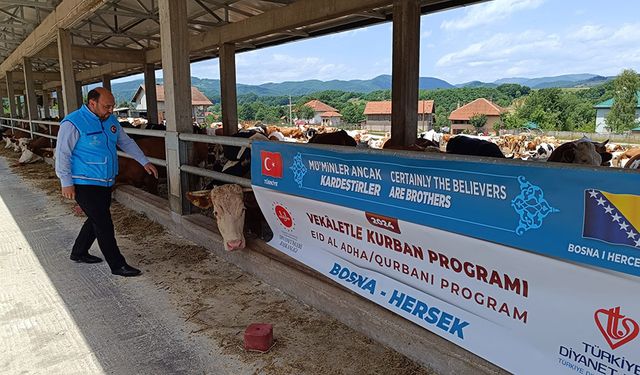 Türkiye Diyanet Vakfı, Bosna Hersek'te ihtiyaç sahiplerine kurban eti dağıttı