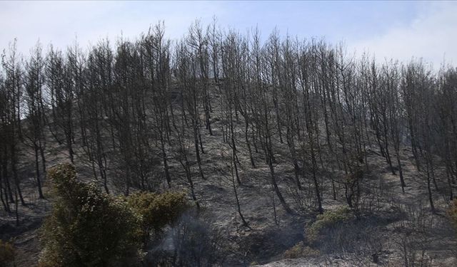 Orman teşkilatından vatandaşlara bayram tatili öncesi yangın uyarısı
