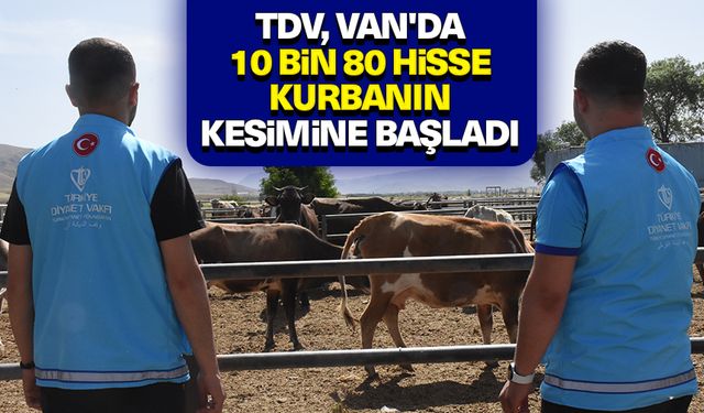 TDV, Van'da 10 bin 80 hisse kurbanın kesimine başladı