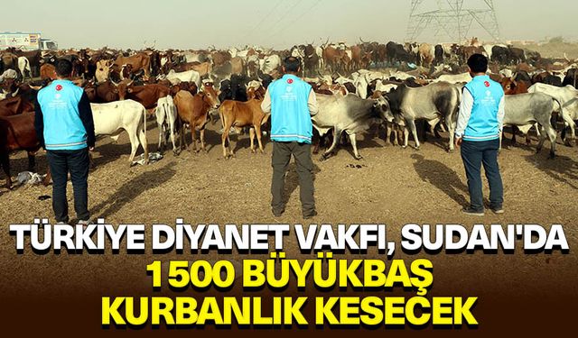 Türkiye Diyanet Vakfı, Sudan'da 1500 büyükbaş kurbanlık kesecek