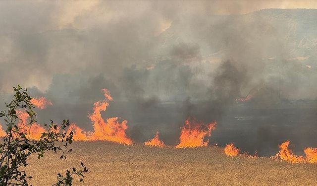 Uşak'ta tarım arazisinde çıkan yangın ormana sıçradı