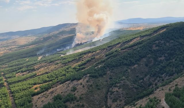 Denizli Çivril'de çıkan orman yangınına müdahale ediliyor