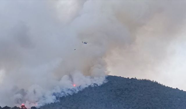 Balıkesir'de çıkan orman yangınını kontrol altına alma çalışmaları sürüyor