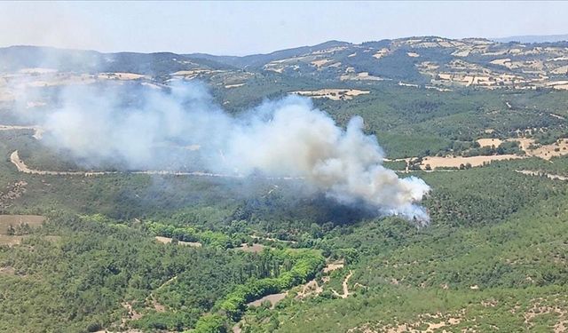 Balıkesir'de ormanlık alanda çıkan yangına müdahale ediliyor