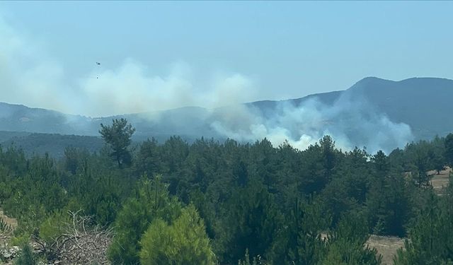 Bursa'da ormanlık alanda çıkan yangına müdahale ediliyor