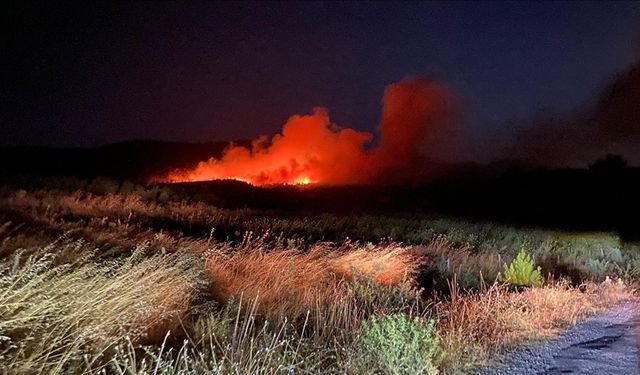 Çanakkale'nin Ayvacık ilçesinde çıkan orman yangınına müdahale ediliyor