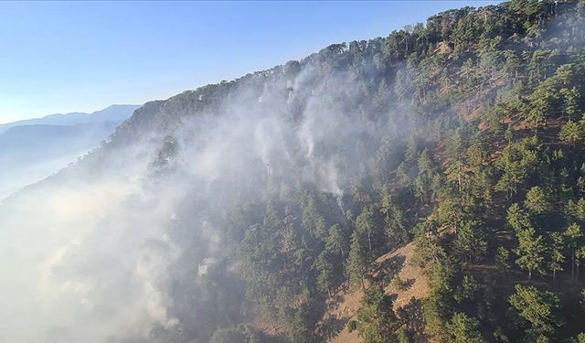 Denizli Çameli'deki orman yangınına müdahale sürüyor