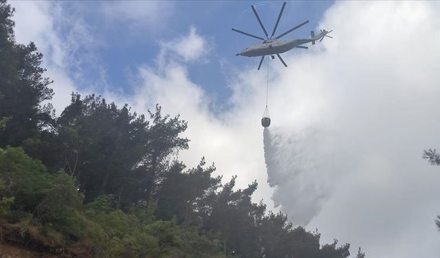 Hatay'da çıkan orman yangınına müdahale ediliyor