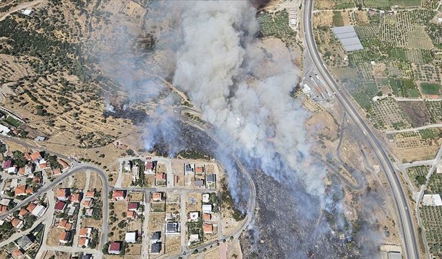 İzmir'de makilik ve otluk alanda yangın çıktı