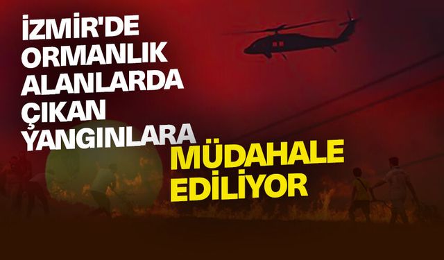 İzmir'de ormanlık alanlarda çıkan yangınlara müdahale ediliyor