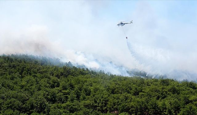 İzmir'in Urla ilçesinde çıkan orman yangınına müdahale ediliyor