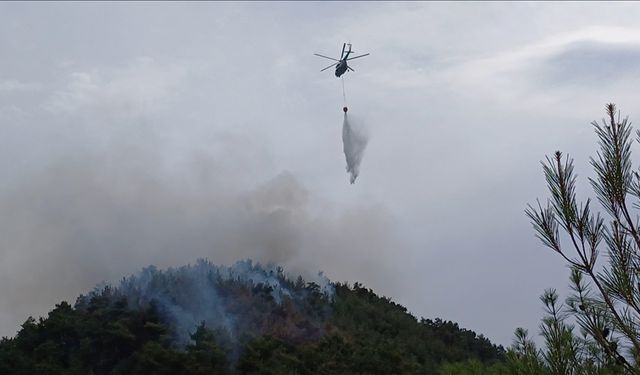 Karabük'te ormanlık alanda çıkan yangına müdahale ediliyor
