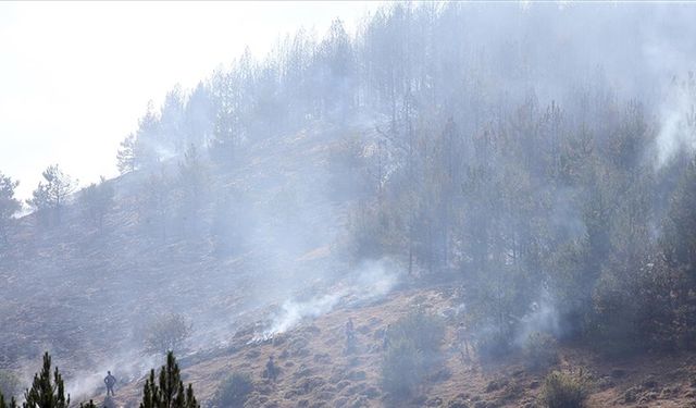 Kastamonu'daki orman yangınında yaklaşık 8 hektar alan zarar gördü