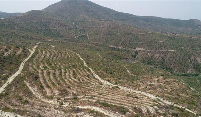 Manavgat'taki yangının üçüncü yılında, yeşillendirilen alanlar havadan görüntülendi