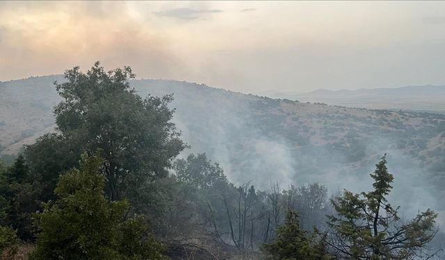 Afyonkarahisar'da ormanlık alanda çıkan yangına müdahale ediliyor