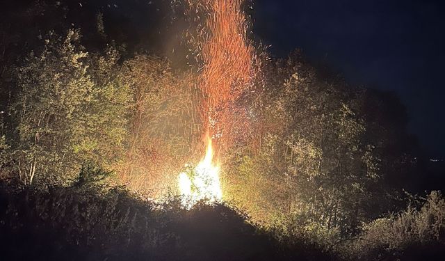 Tokat'ta çıkan orman yangınında 2 hektarlık alan zarar gördü