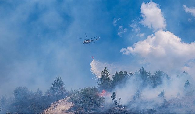 Ankara-Bolu sınırındaki orman yangınıyla ilgili gözaltına alınan şüpheli tutuklandı