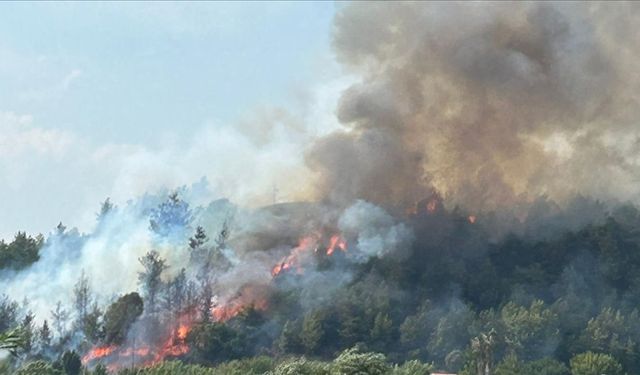 Antalya'nın Aksu ilçesinde orman yangını çıktı