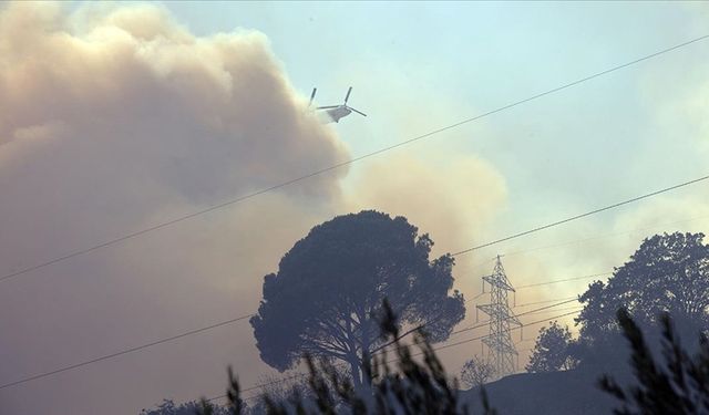 Aydın'da zeytinlik ve ormanlık alanda çıkan yangına müdahale sürüyor