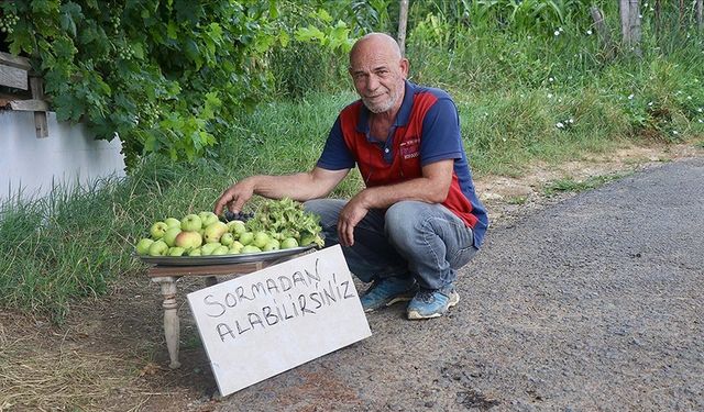 Bahçesinde yetiştirdiği ürünleri yoldan geçenlerle paylaşıyor