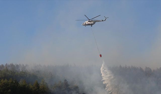 Hatay'da çıkan orman yangınına müdahale ediliyor