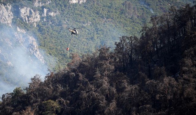 İzmir'in Menderes ilçesindeki orman yangınına müdahale sürüyor