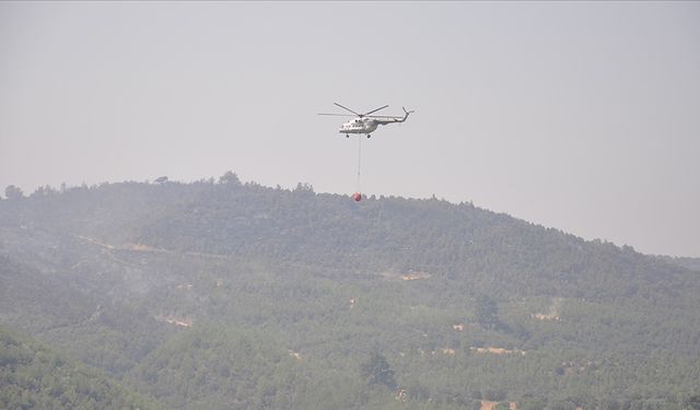 Manisa, Uşak ve Muğla'daki orman yangınları kontrol altına alındı