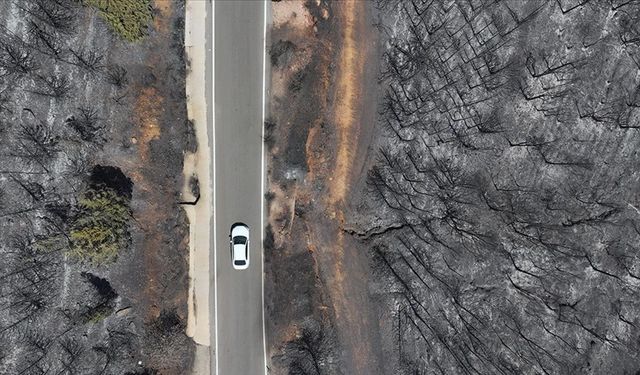 Yangınlarla boğuşan Ege'de yeşil alanlar yerini griye bıraktı