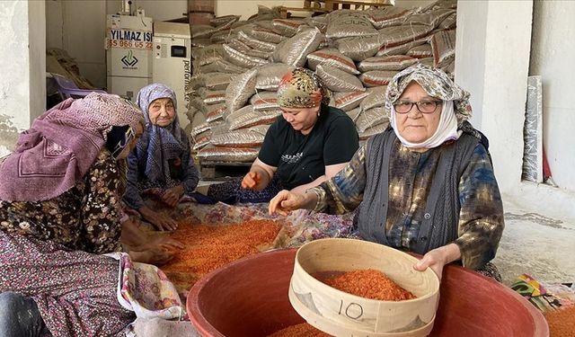 90 yaşındaki 3 arkadaş uzun ömürlerini "tarhanaya ve dostluğa" borçlu