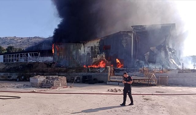 Adana'da narenciye paketleme tesisinde çıkan yangına müdahale ediliyor