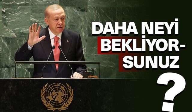 Cumhurbaşkanı Erdoğan: Daha neyi bekliyorsunuz?