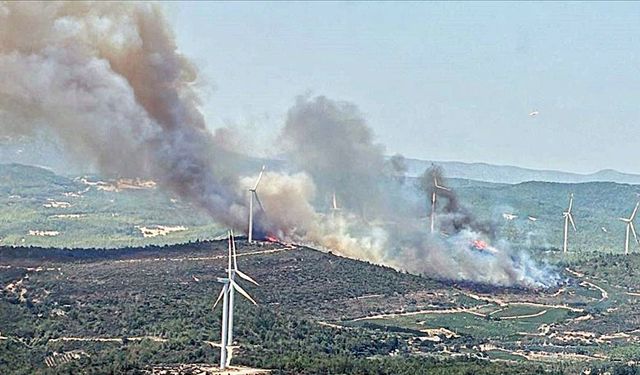 İzmir'in Urla ilçesinde çıkan orman yangınına müdahale ediliyor