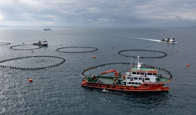 Karadeniz'in su ürünleri ihracat geliri 8 ayda yüzde 11 arttı