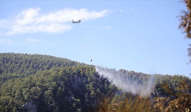 Muğla'da çıkan orman yangınına müdahale sürüyor