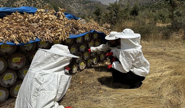 Siirtli "Bal" ailesi dededen toruna 3 kuşaktır arıcılık yapıyor