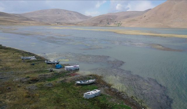 Suyu çekilen ve yosun tutan Balık Gölü'nde "canlı yaşamı" tehlikede