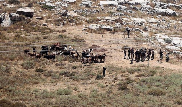 Katil İsrail, işgal altındaki Batı Şeria'da Filistinlilere ait yüzlerce dönümlük araziye el koydu