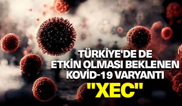 Türkiye'de de etkin olması beklenen Kovid-19 varyantı "XEC" açıklaması