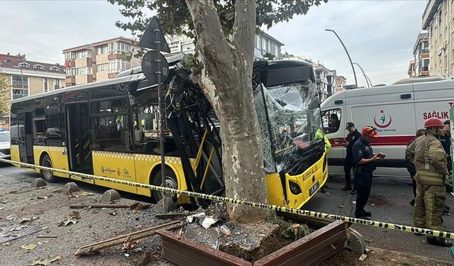 Bahçelievler'de ağaca çarpan İETT otobüsündeki 7 kişi yaralandı