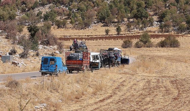 BM, işgalcilerin saldırdığı Lübnan'dan 128 binden fazla kişinin Suriye'ye geçtiğini bildirdi