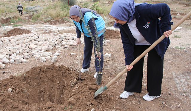 Antalya'da kız öğrenciler, yangından zarar gören bahçeye fidan dikti