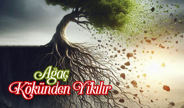 Ağaç Kökünden Yıkılır